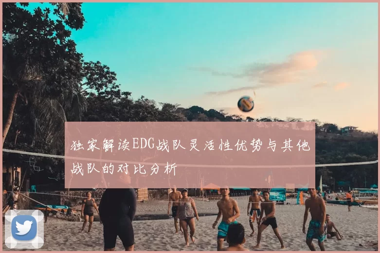 独家解读EDG战队灵活性优势与其他战队的对比分析