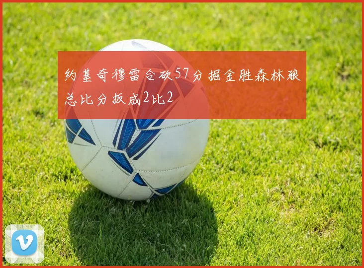 约基奇穆雷合砍57分掘金胜森林狼总比分扳成2比2