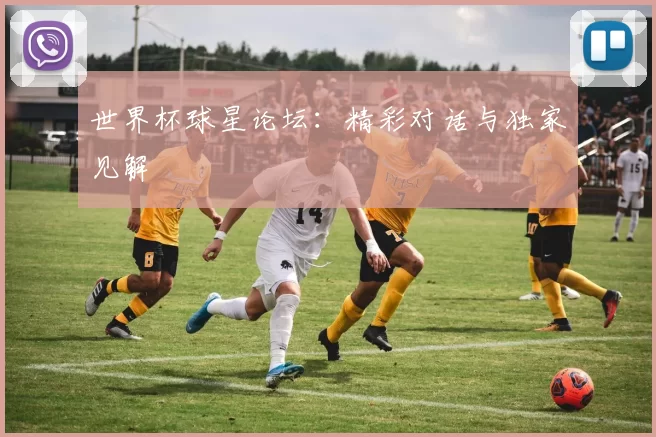 世界杯球星论坛：精彩对话与独家见解