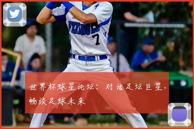世界杯球星论坛:对话足坛巨星,畅谈足球未来