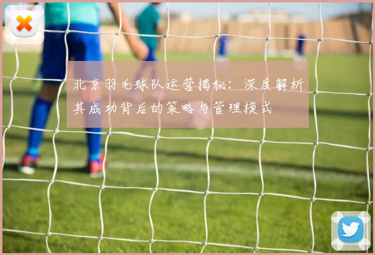 北京羽毛球队运营揭秘：深度解析其成功背后的策略与管理模式