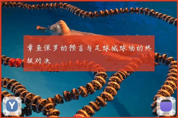 章鱼保罗的预言与足球城球场的终极对决