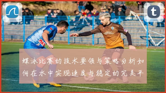 蝶泳比赛的技术要领与策略分析如何在水中实现速度与稳定的完美平衡