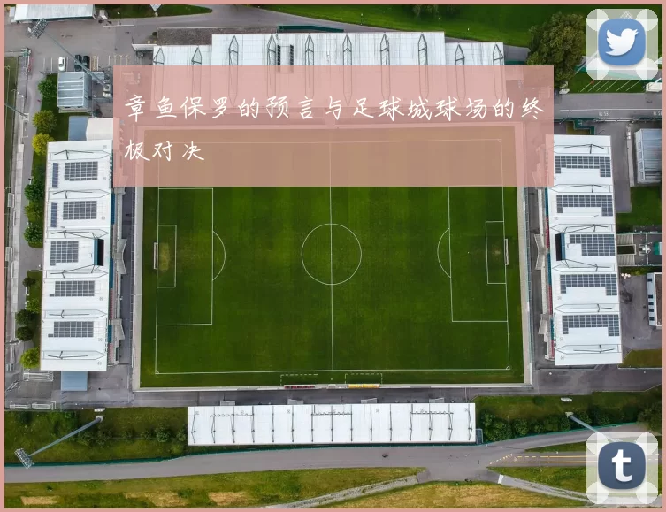 章鱼保罗的预言与足球城球场的终极对决