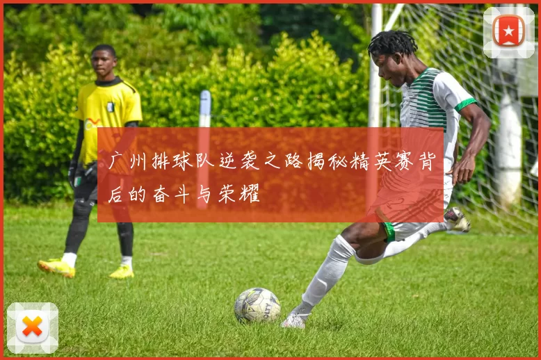 广州排球队逆袭之路揭秘精英赛背后的奋斗与荣耀