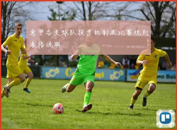 意甲各支球队投票机制及比赛规则表格说明