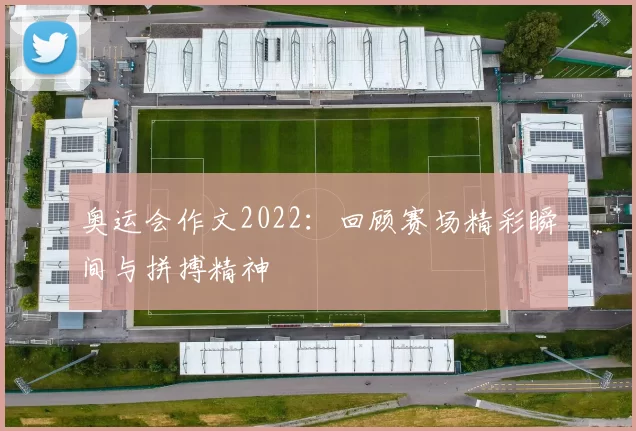 奥运会作文2022：回顾赛场精彩瞬间与拼搏精神
