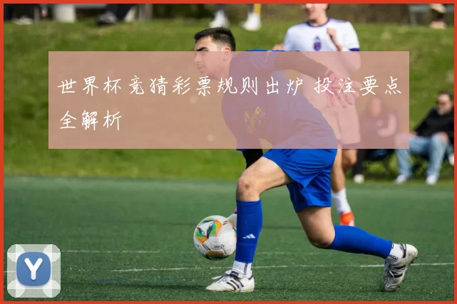 世界杯竞猜彩票规则出炉 投注要点全解析