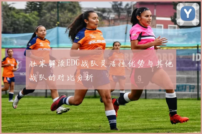独家解读EDG战队灵活性优势与其他战队的对比分析
