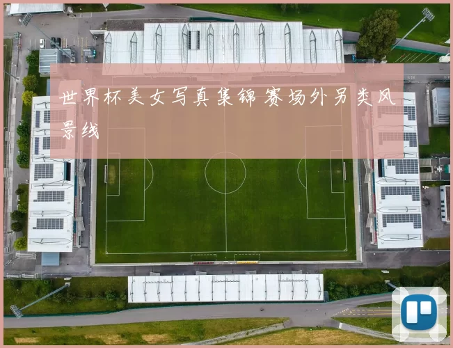 世界杯美女写真集锦 赛场外另类风景线