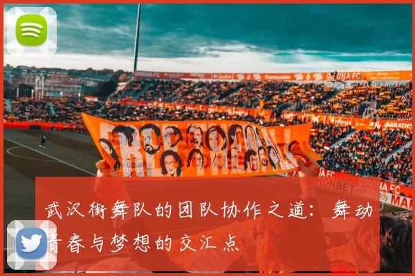 武汉街舞队的团队协作之道:舞动青春与梦想的交汇点