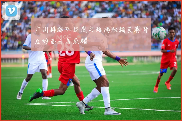广州排球队逆袭之路揭秘精英赛背后的奋斗与荣耀