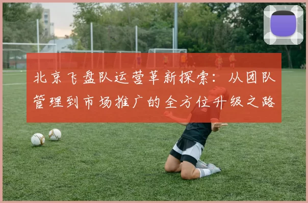 北京飞盘队运营革新探索：从团队管理到市场推广的全方位升级之路
