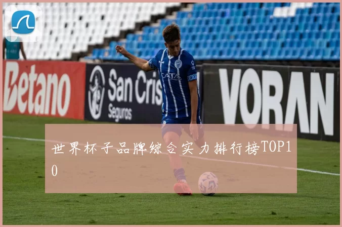 世界杯子品牌综合实力排行榜TOP10
