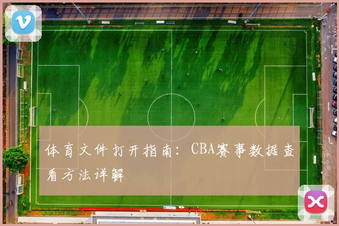 体育文件打开指南：CBA赛事数据查看方法详解