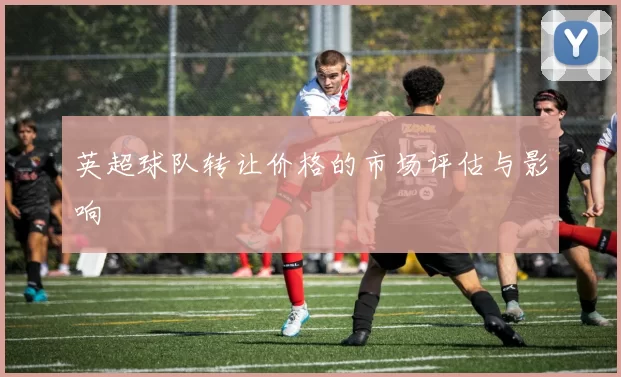 英超球队转让价格的市场评估与影响