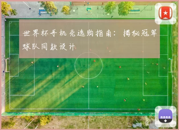 世界杯手机壳选购指南:揭秘冠军球队同款设计