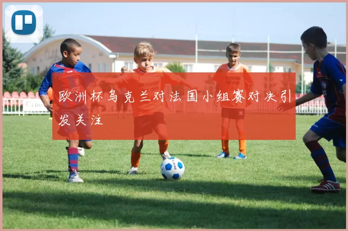 欧洲杯乌克兰对法国小组赛对决引发关注
