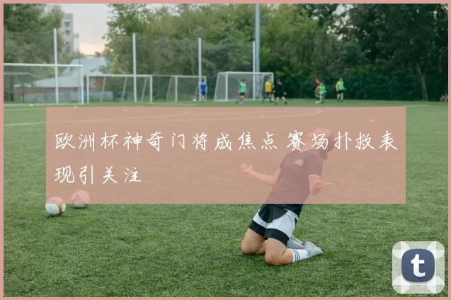 欧洲杯神奇门将成焦点 赛场扑救表现引关注